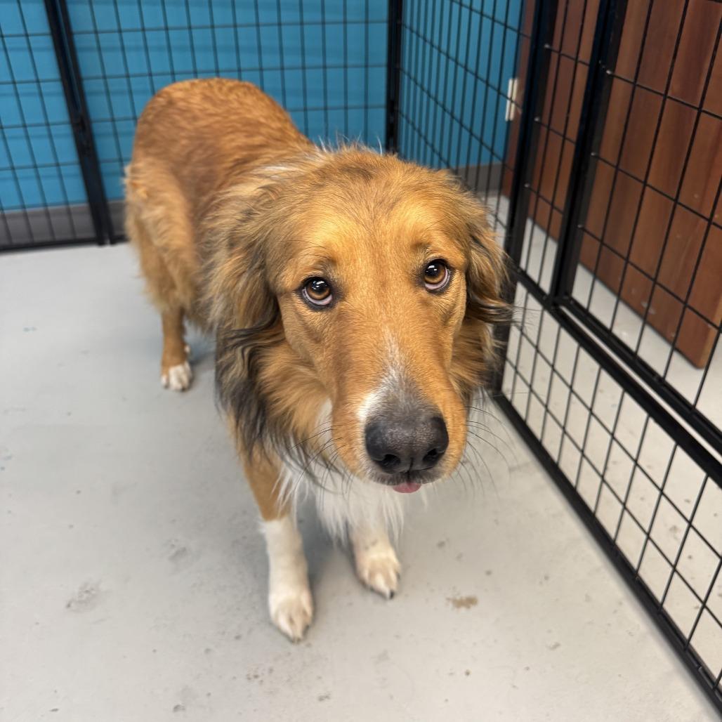 Cleveland thumbnail 3