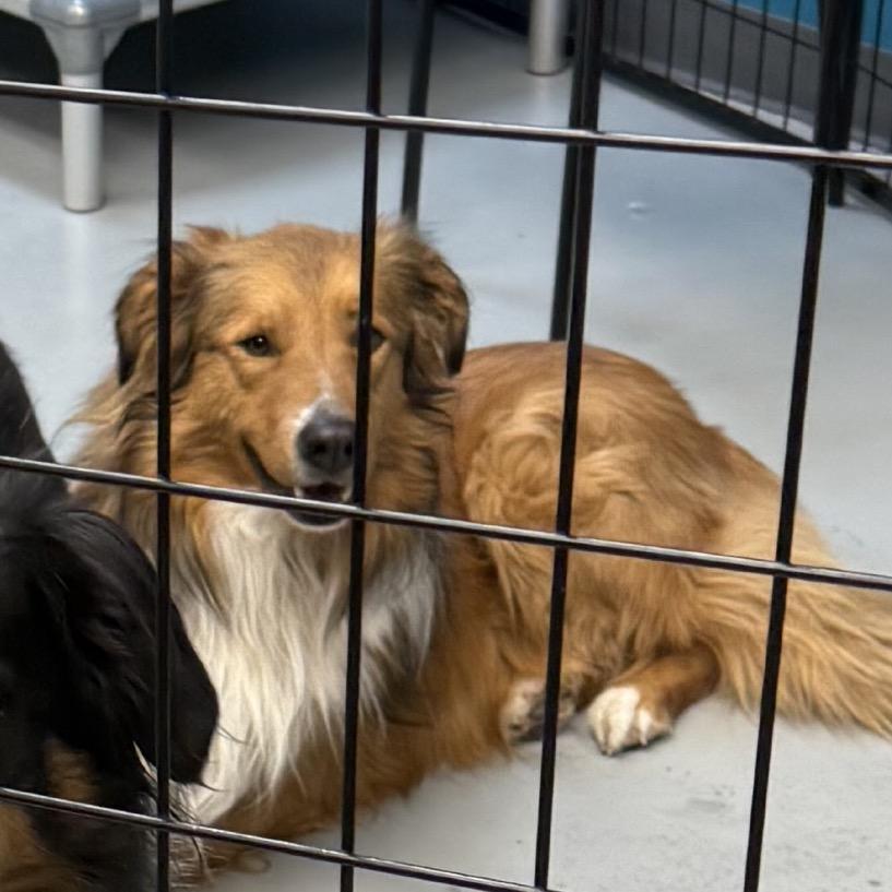 Cleveland thumbnail 4