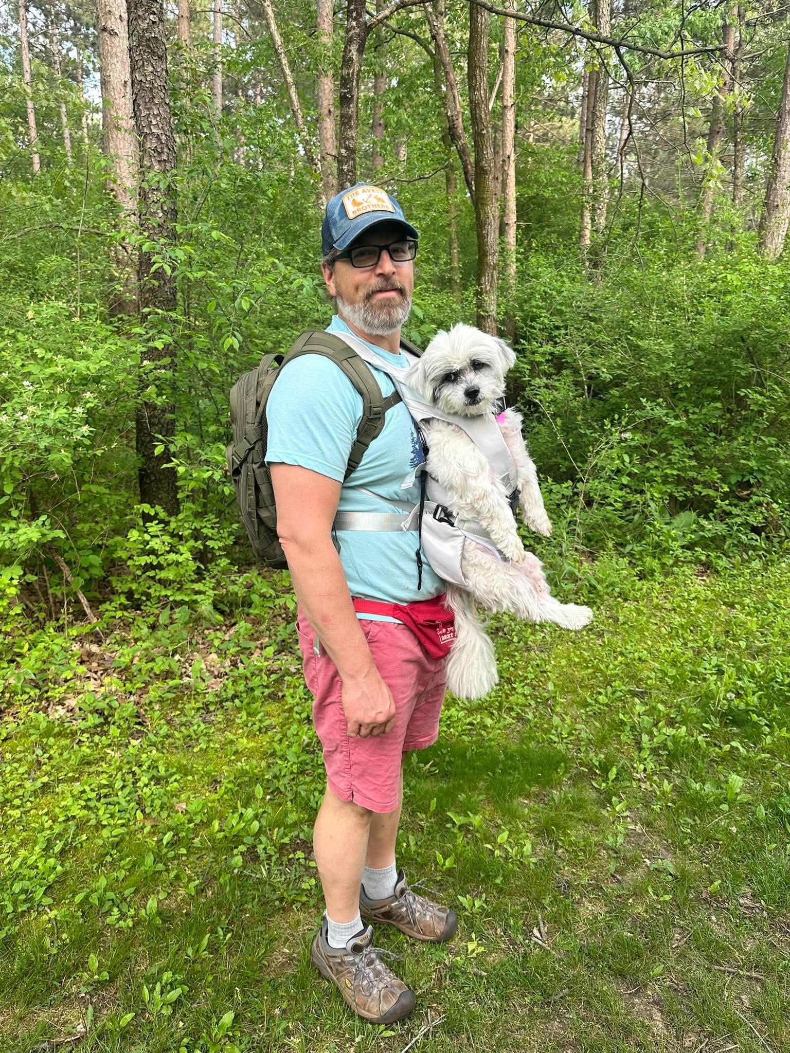 Lolly, an adopted Lhasa Apso in Whitewater, WI image 4/6