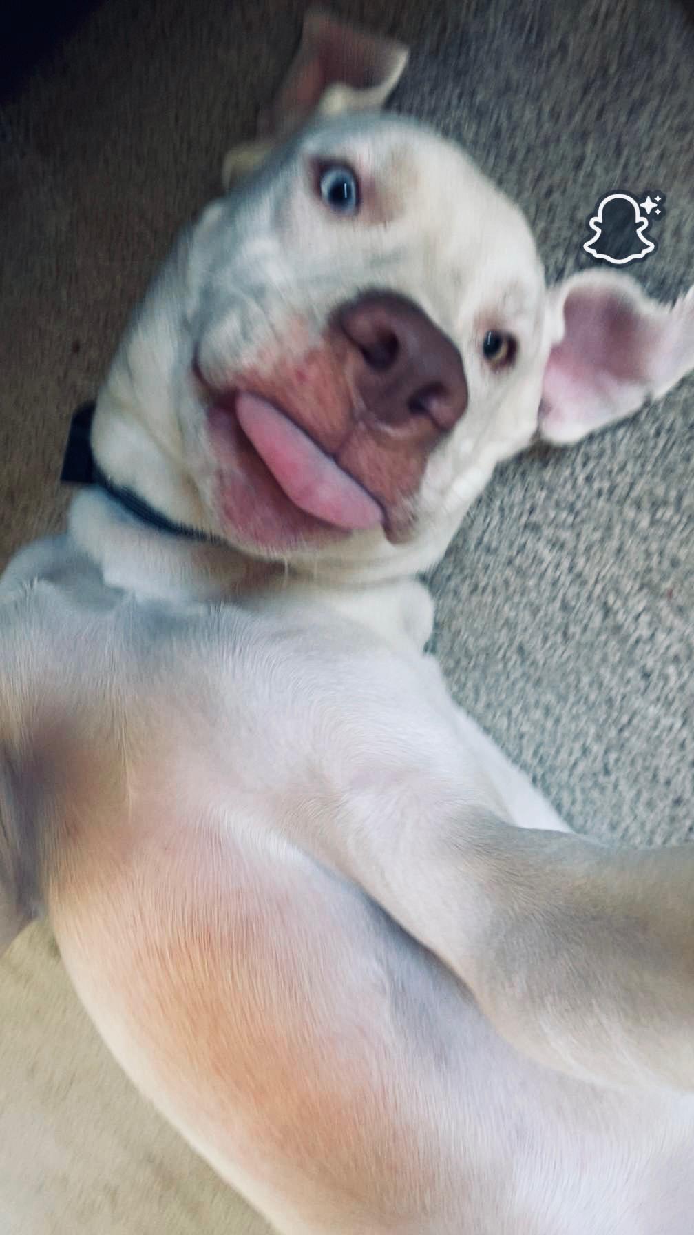 Loupin — thumbnail 5