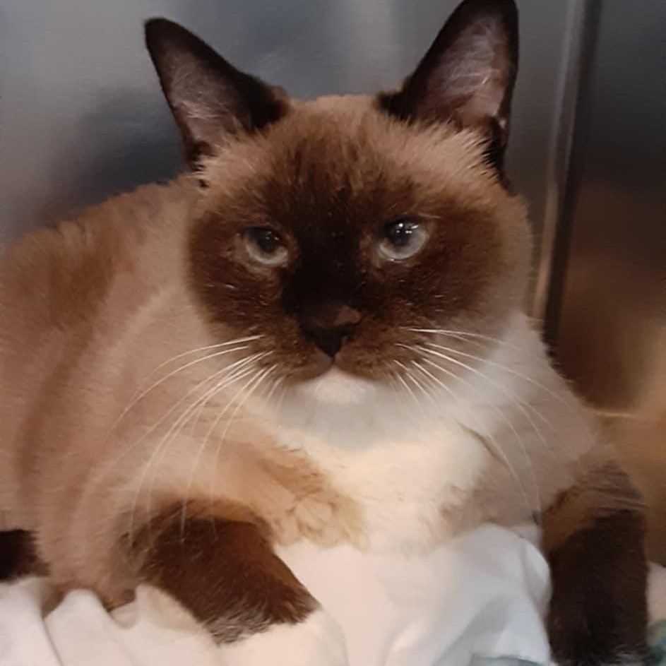 Baby - 12 yo senior
