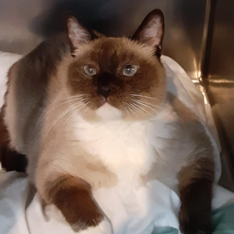 Baby - 12 yo senior
