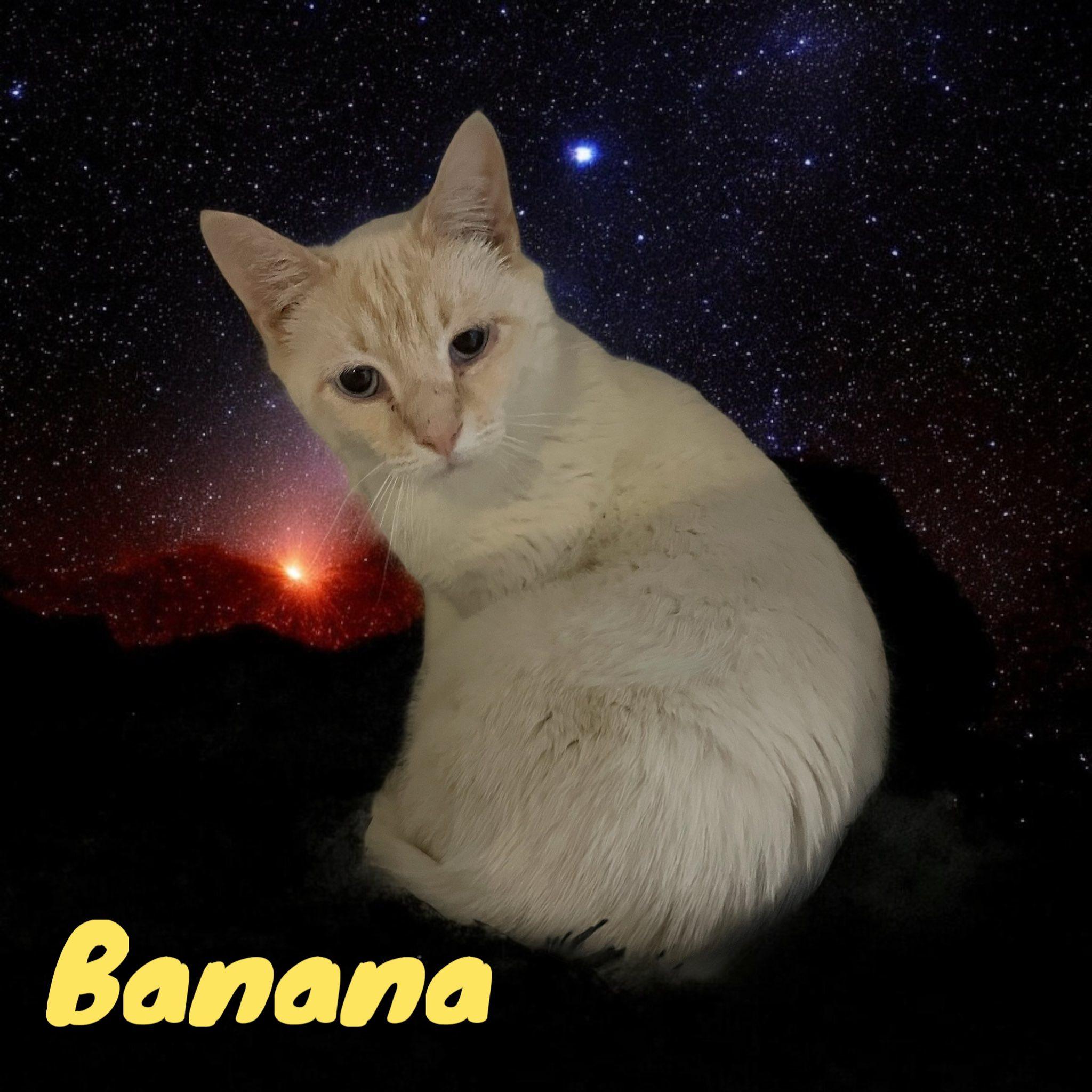 Banana