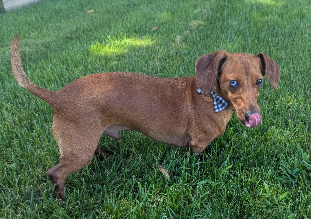 Frankie in WI photo 2