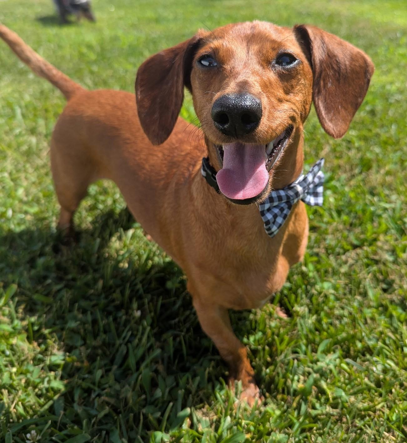Frankie in WI photo 4