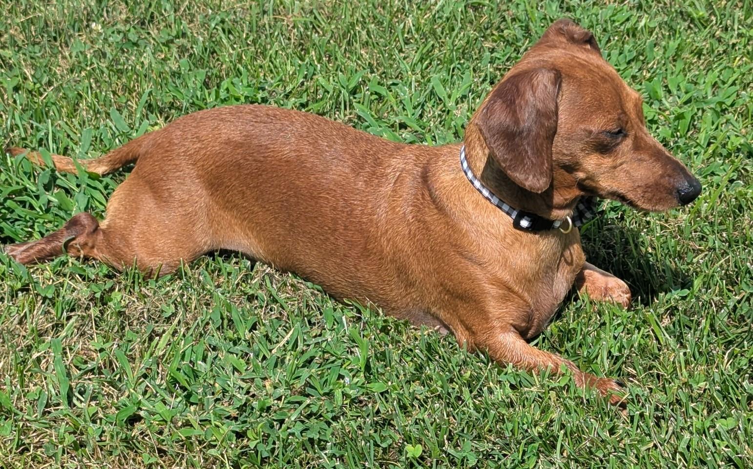 Frankie in WI photo 5