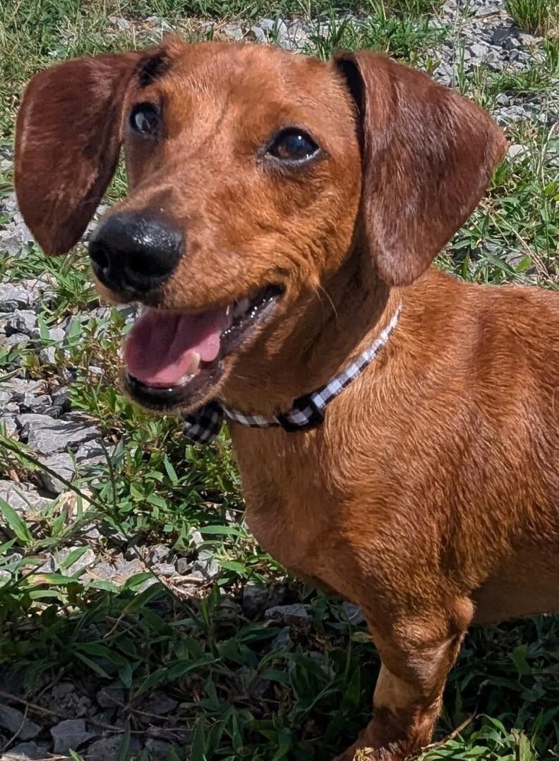 Frankie in WI