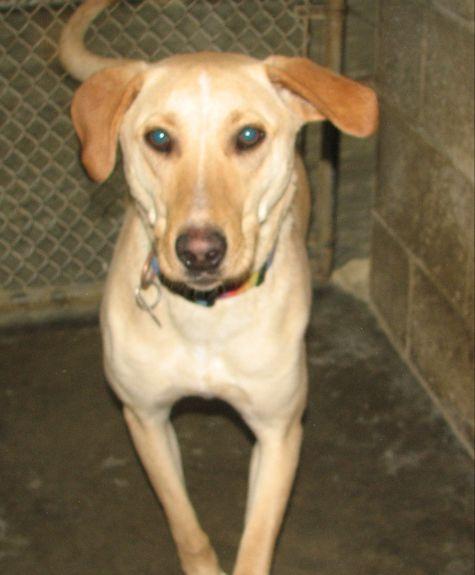 #3741 Pluto photo 4