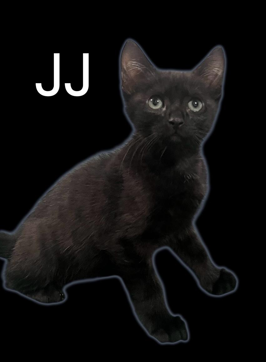 JJ