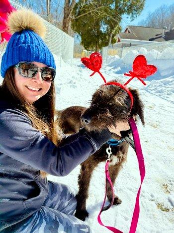 Enlarge Coffee, an adopted mixed breed in Bedford Hills, NY image 5/5