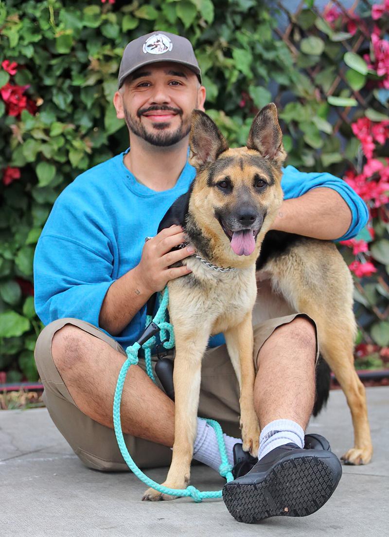 Rola von Riesa", a Adoptable German Shepherd Dog in Los Angeles, CA image 2/6