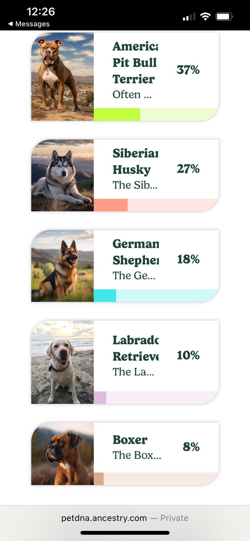 Enlarge Roo, a Adoptable mixed breed in Elburn, IL image 1/6