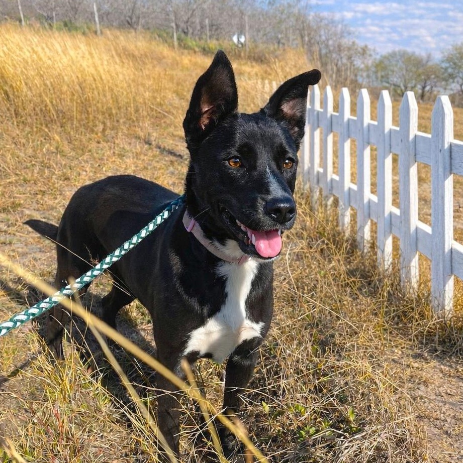 Soley — thumbnail 3