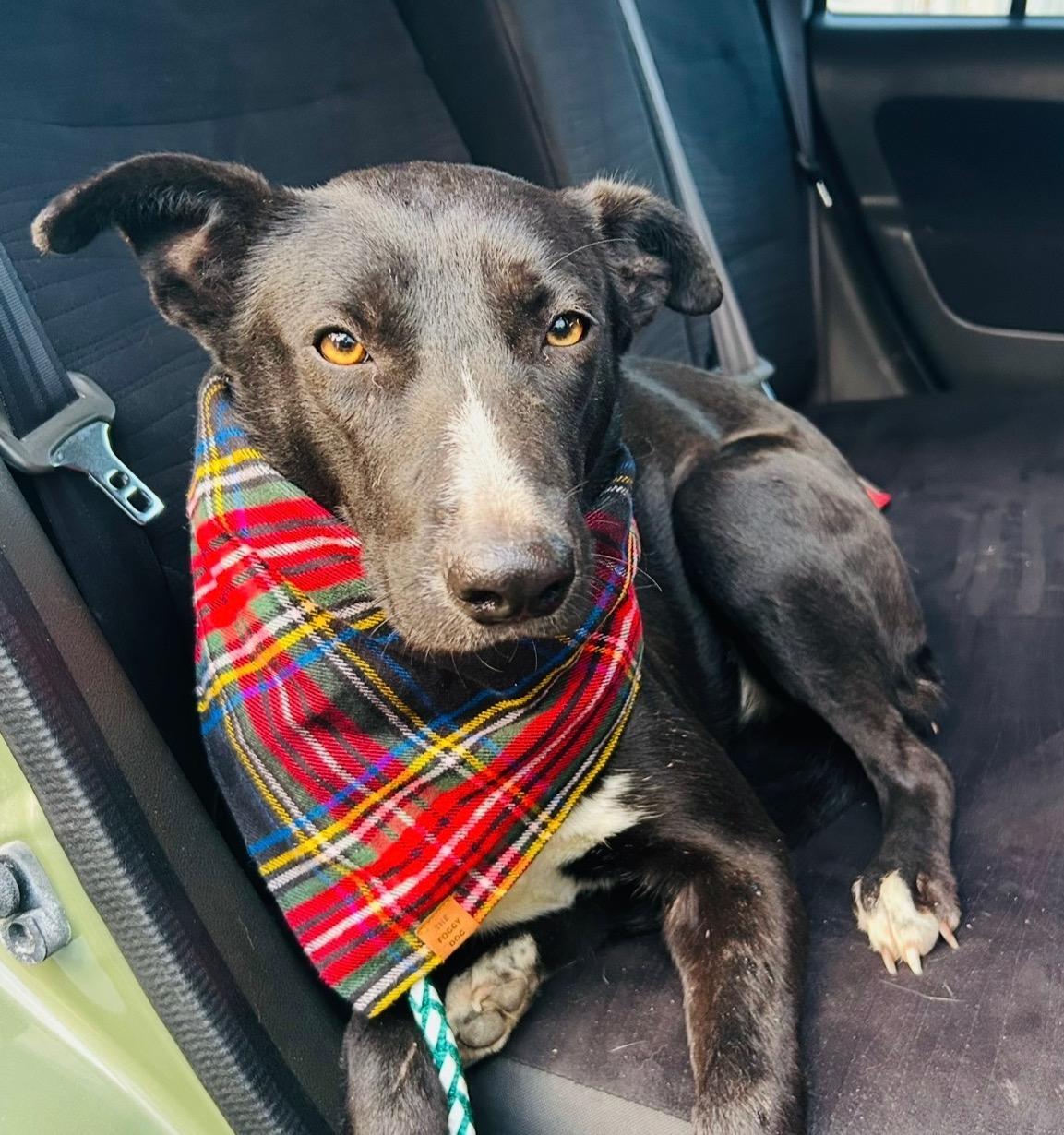 Soley — thumbnail 4