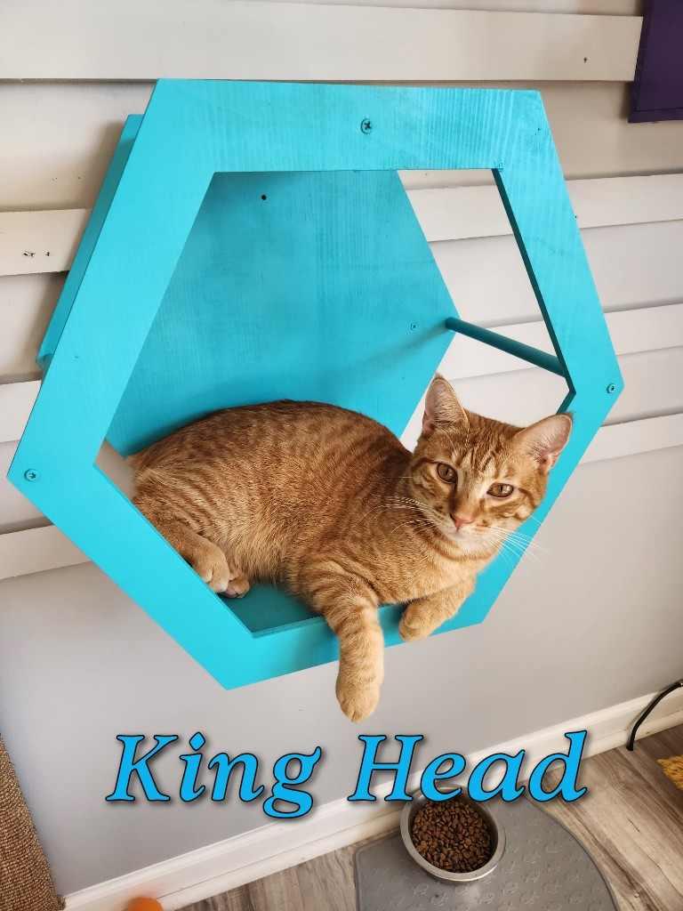 King Head