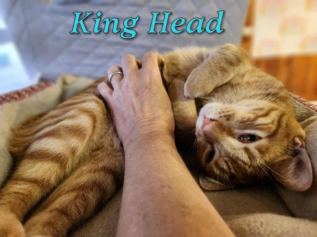 King Head