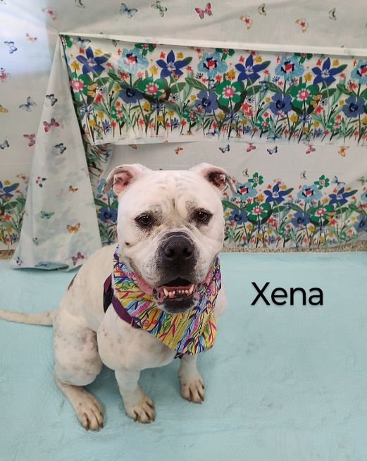 Xena