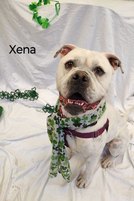 Xena