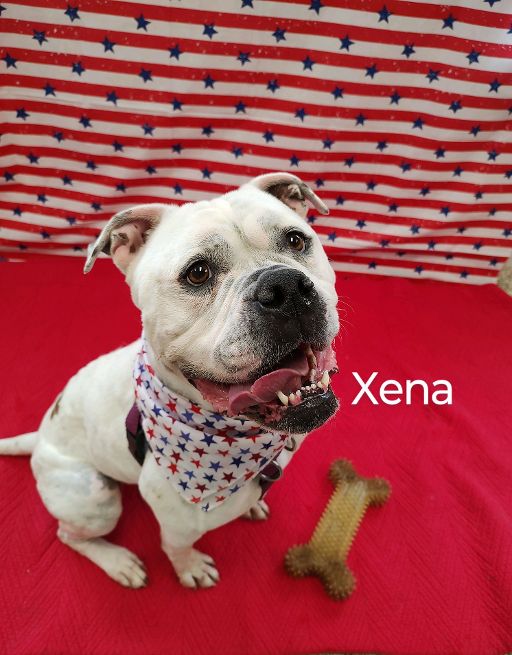 Xena