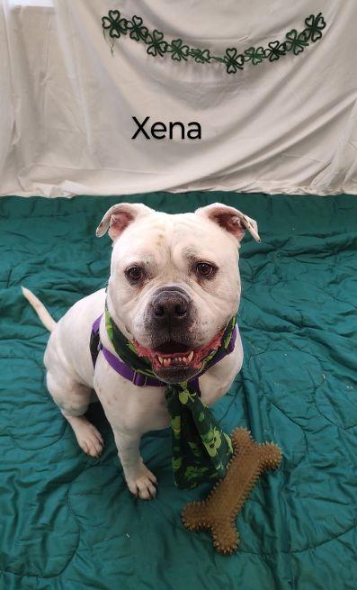 Xena