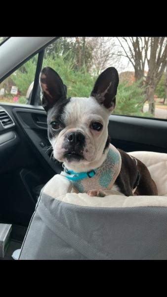 Jillie Jan  Memphis thumbnail 5