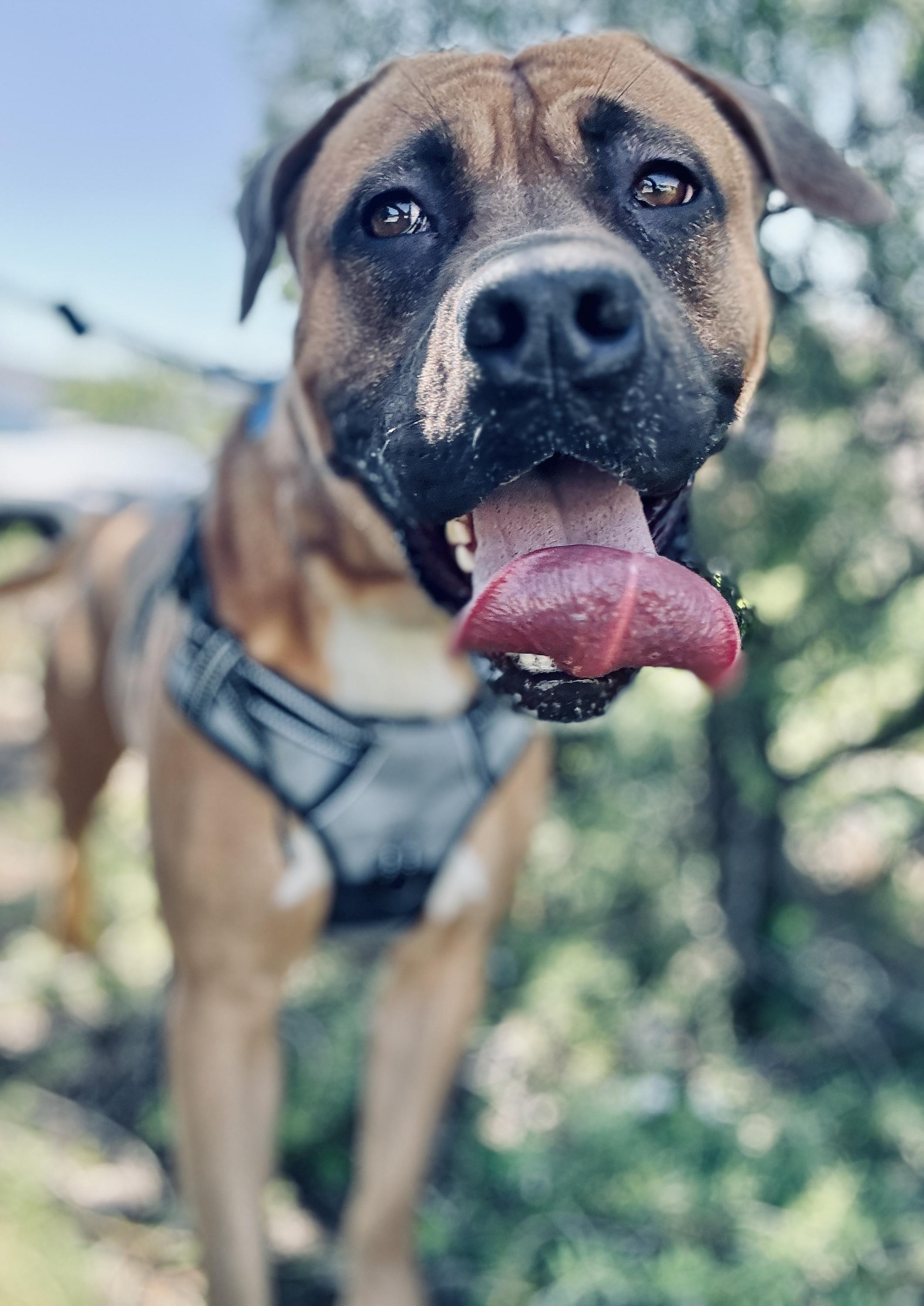 Mason photo 3