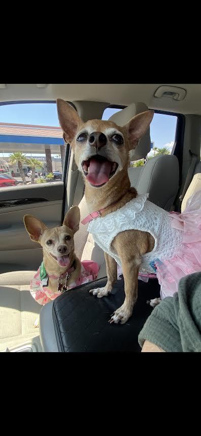 Julie and Rosie  are a Pair
