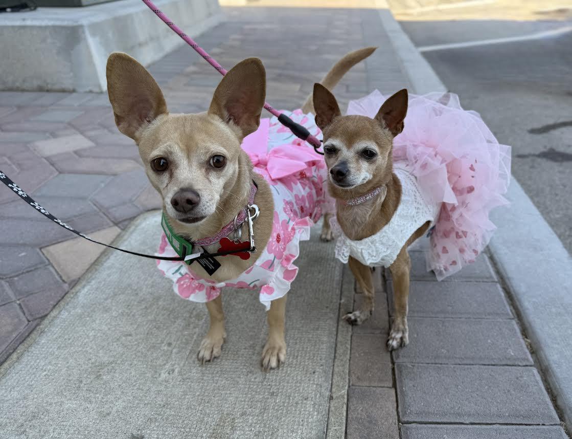Julie and Rosie  are a Pair