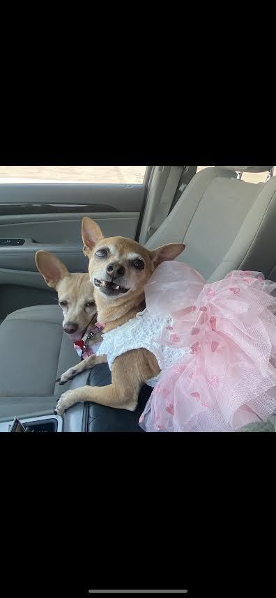 Julie and Rosie  are a Pair