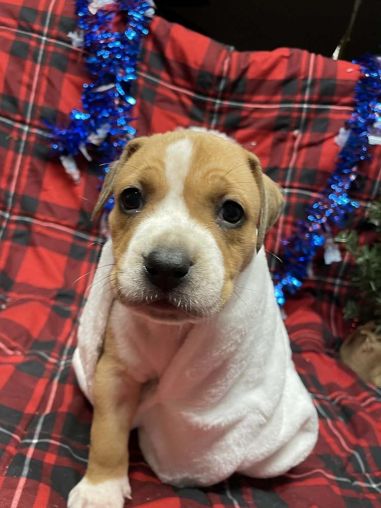 Butch Cassidy thumbnail 4