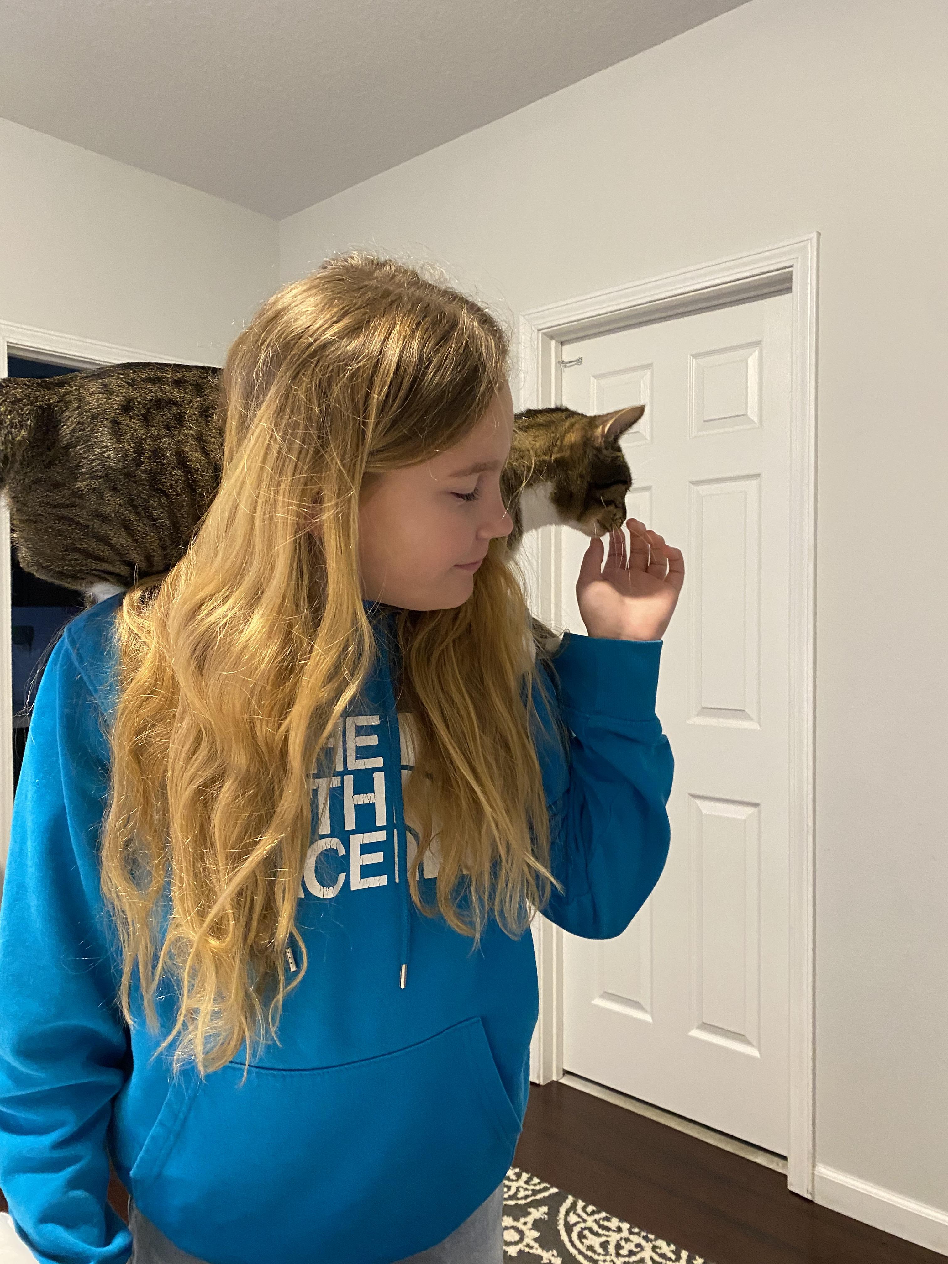 Enlarge Martha, a Adoptable Domestic Short Hair in Saint Francis, MN image 2/6