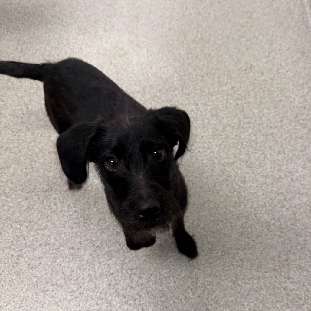 Bliss — thumbnail 2