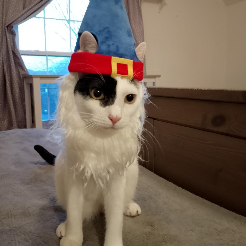 Buttermilk thumbnail 4