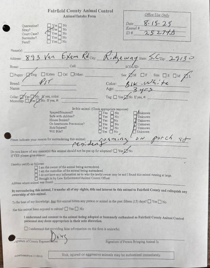 Van, a Adoptable mixed breed in Winnsboro, SC image 3/4