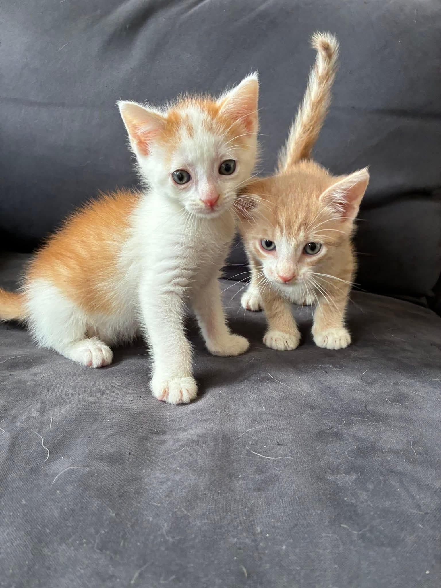 Snuggles