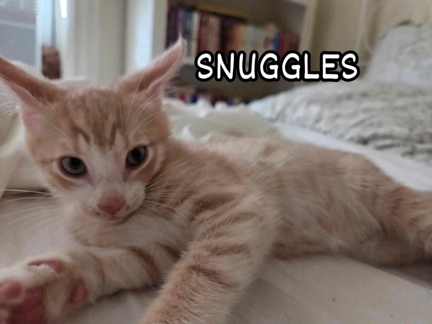 Snuggles