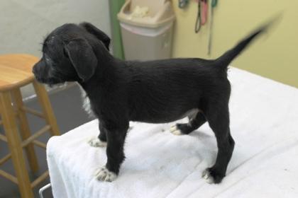 Daylight thumbnail 3