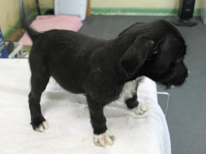 Daylight thumbnail 4