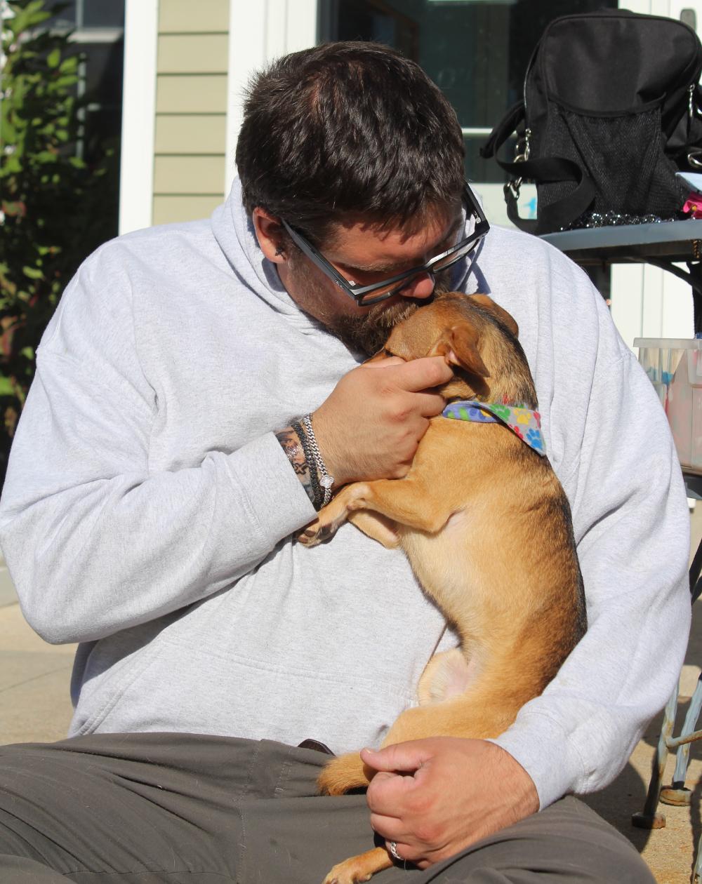 Enlarge Munchkin, a Adoptable mixed breed in Grayling, MI image 6/6