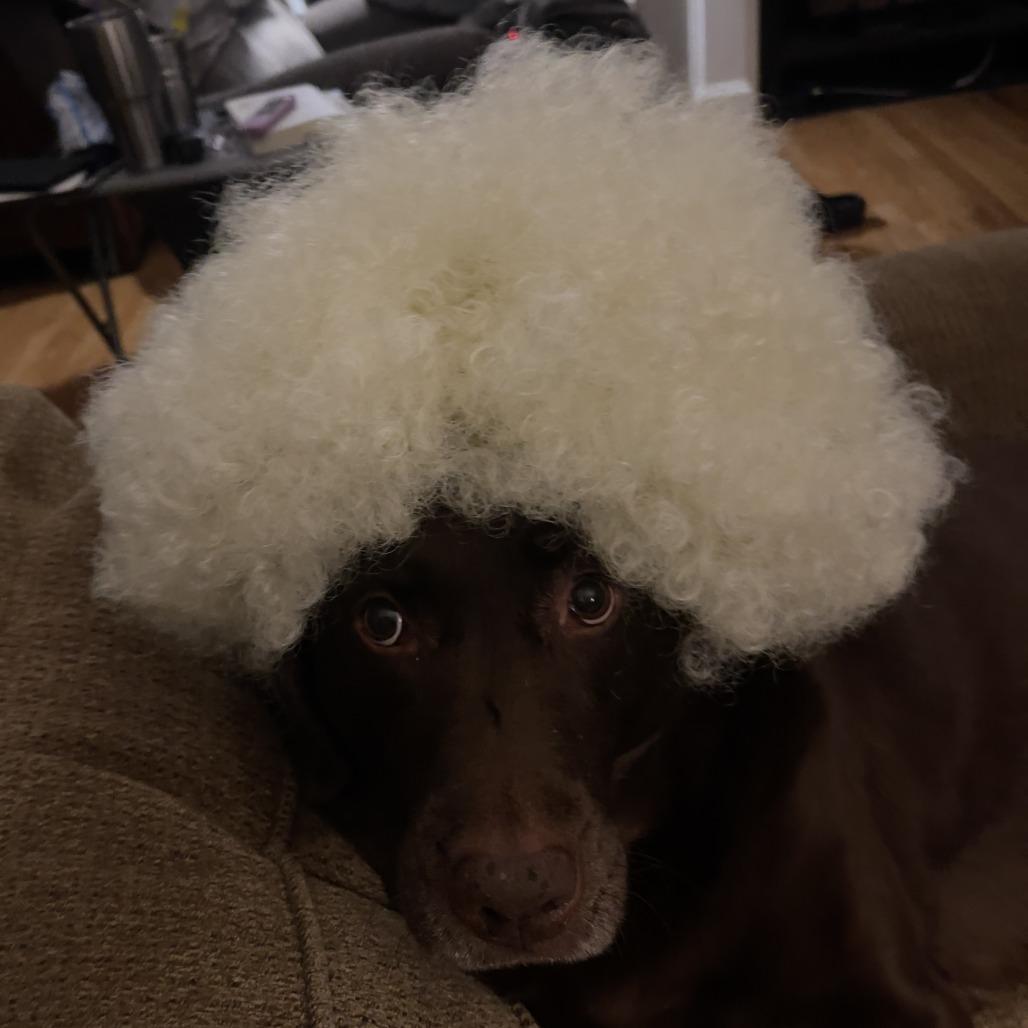 Bourbon — thumbnail 2