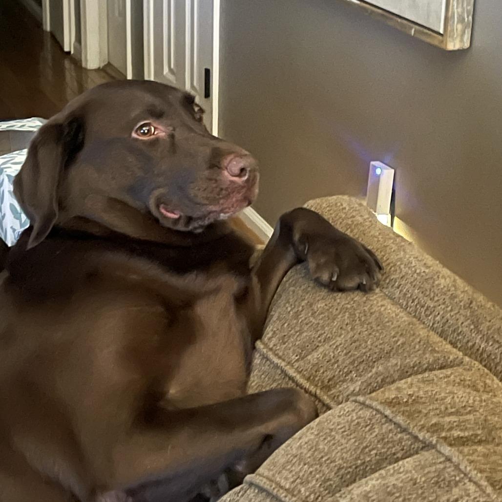 Bourbon — thumbnail 3