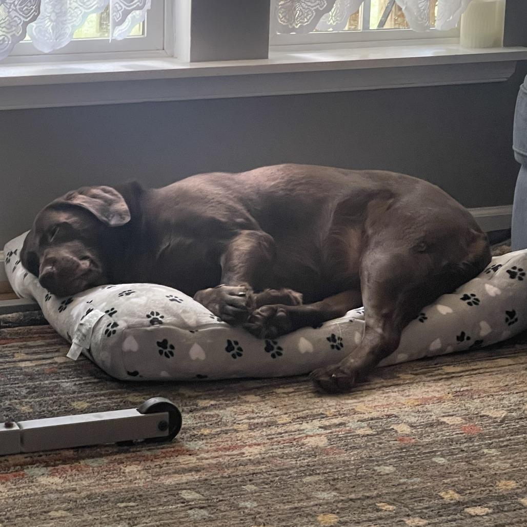 Bourbon — thumbnail 5