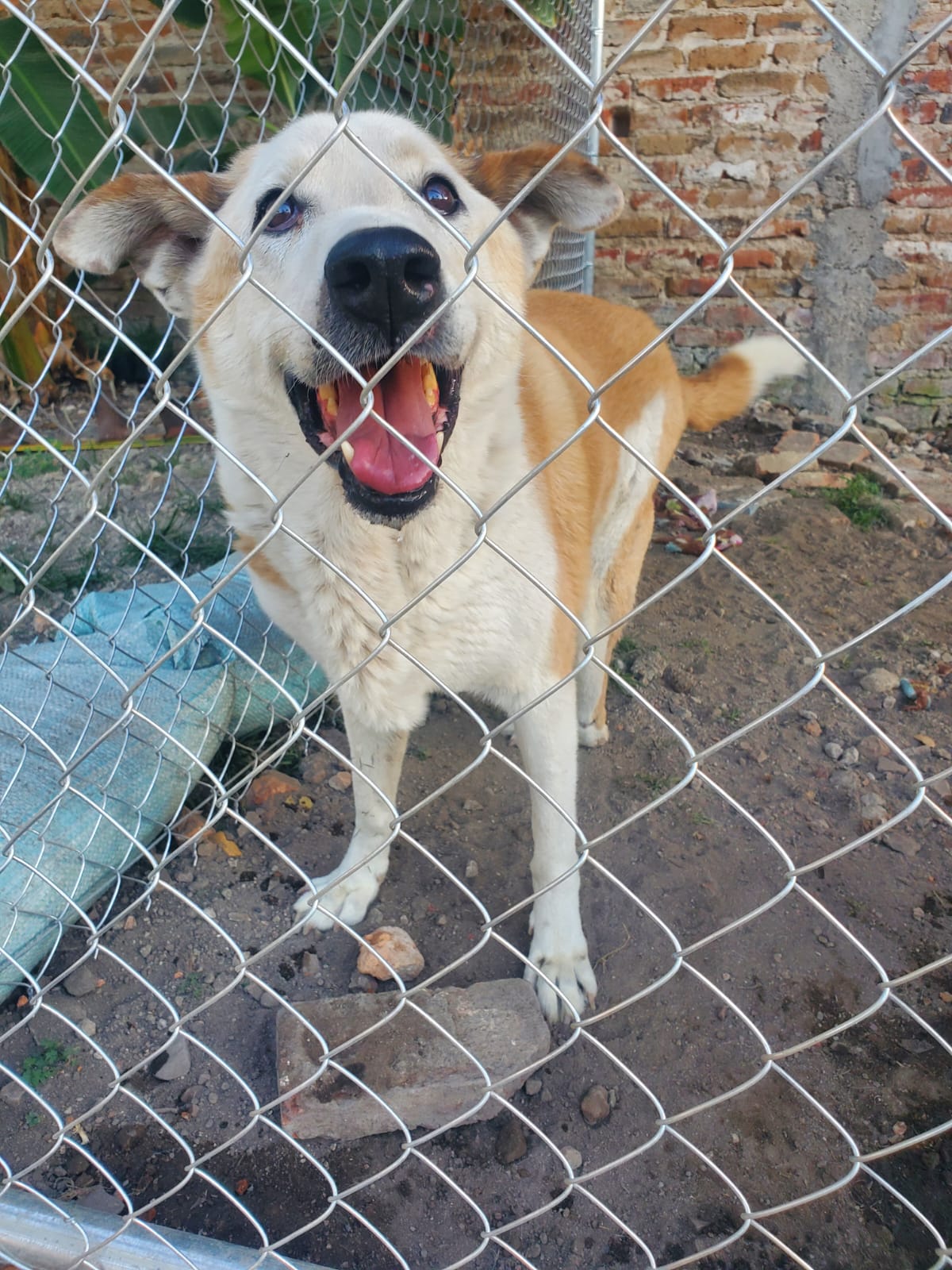 Elliot photo 5