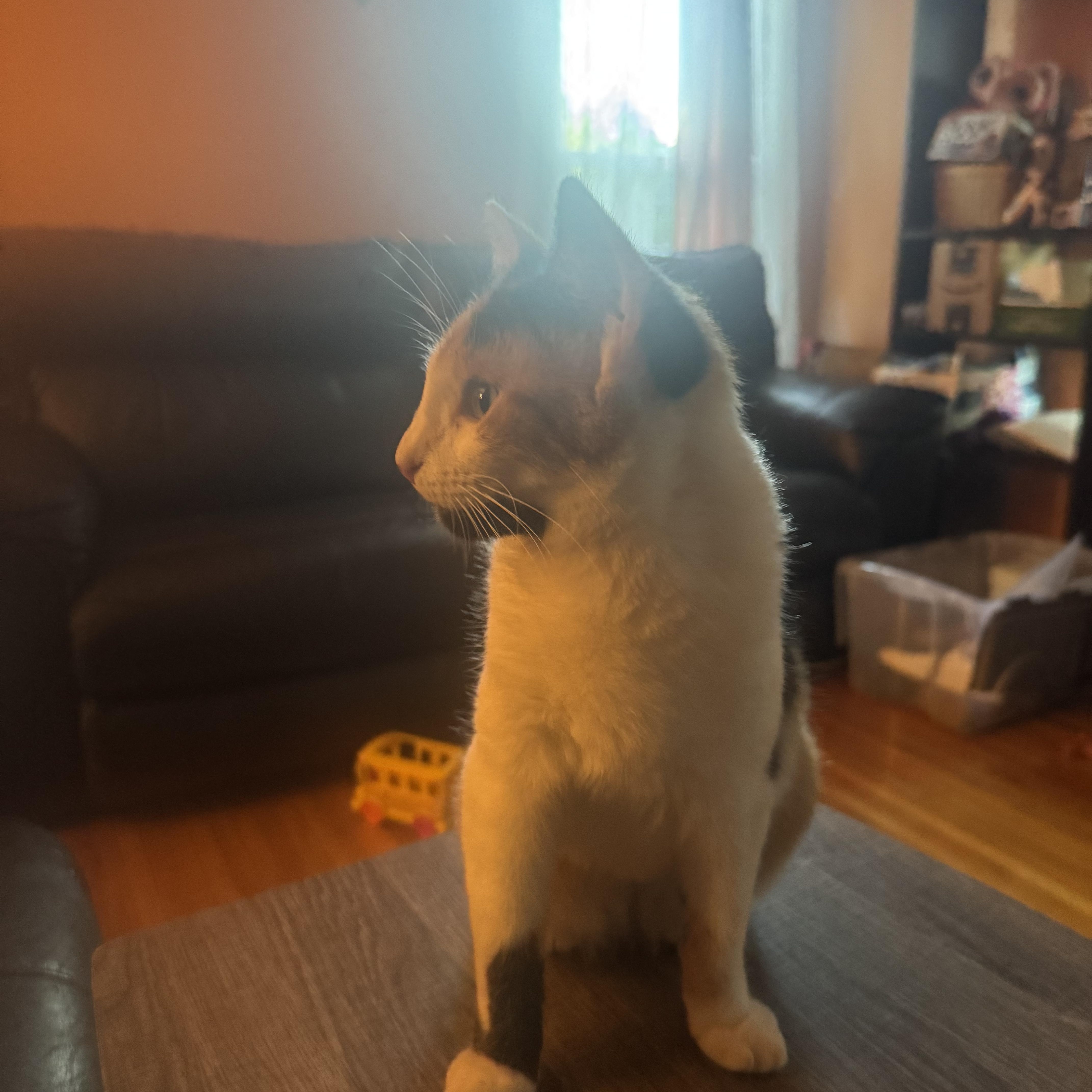 Tabitha/Tory 2