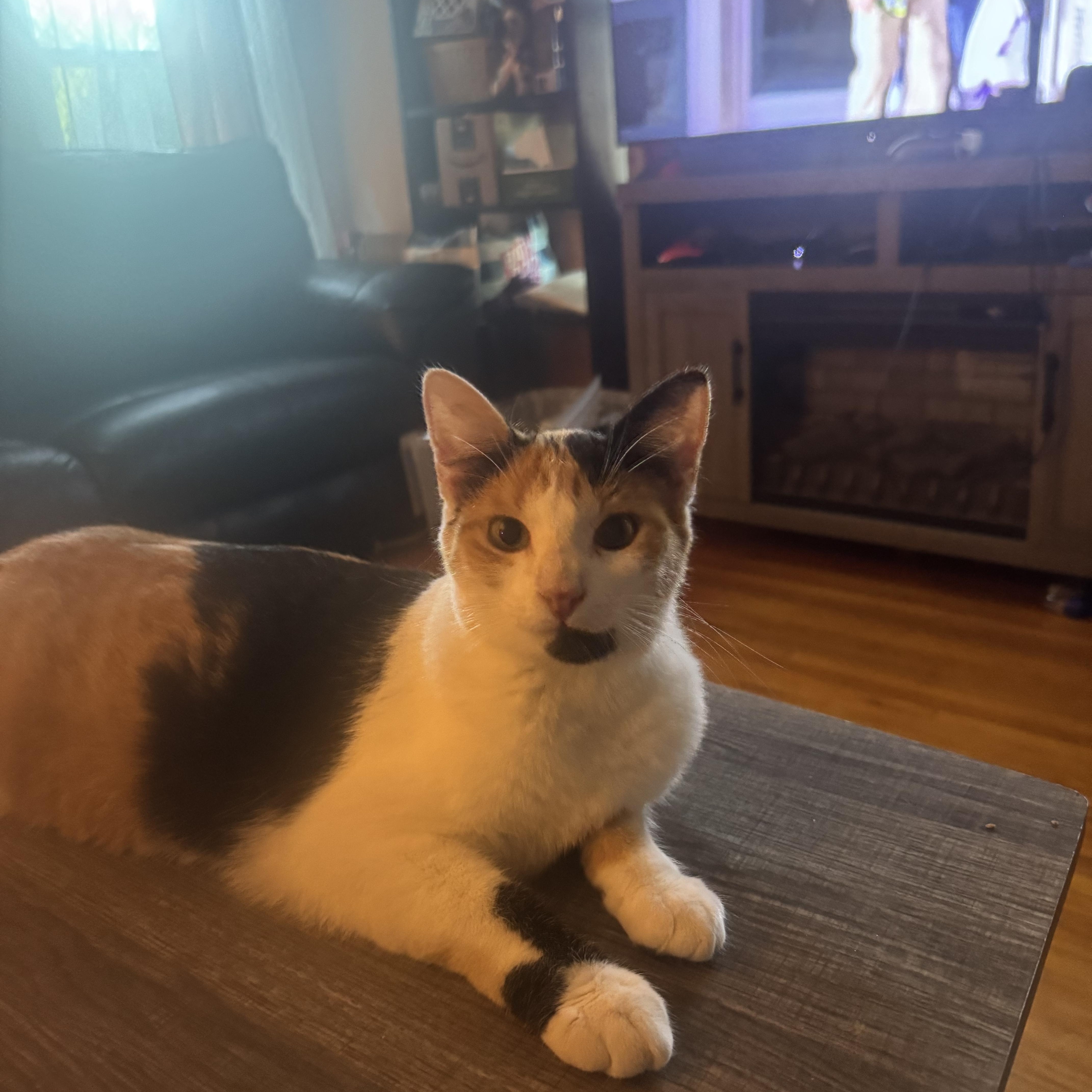 Tabitha/Tory 3