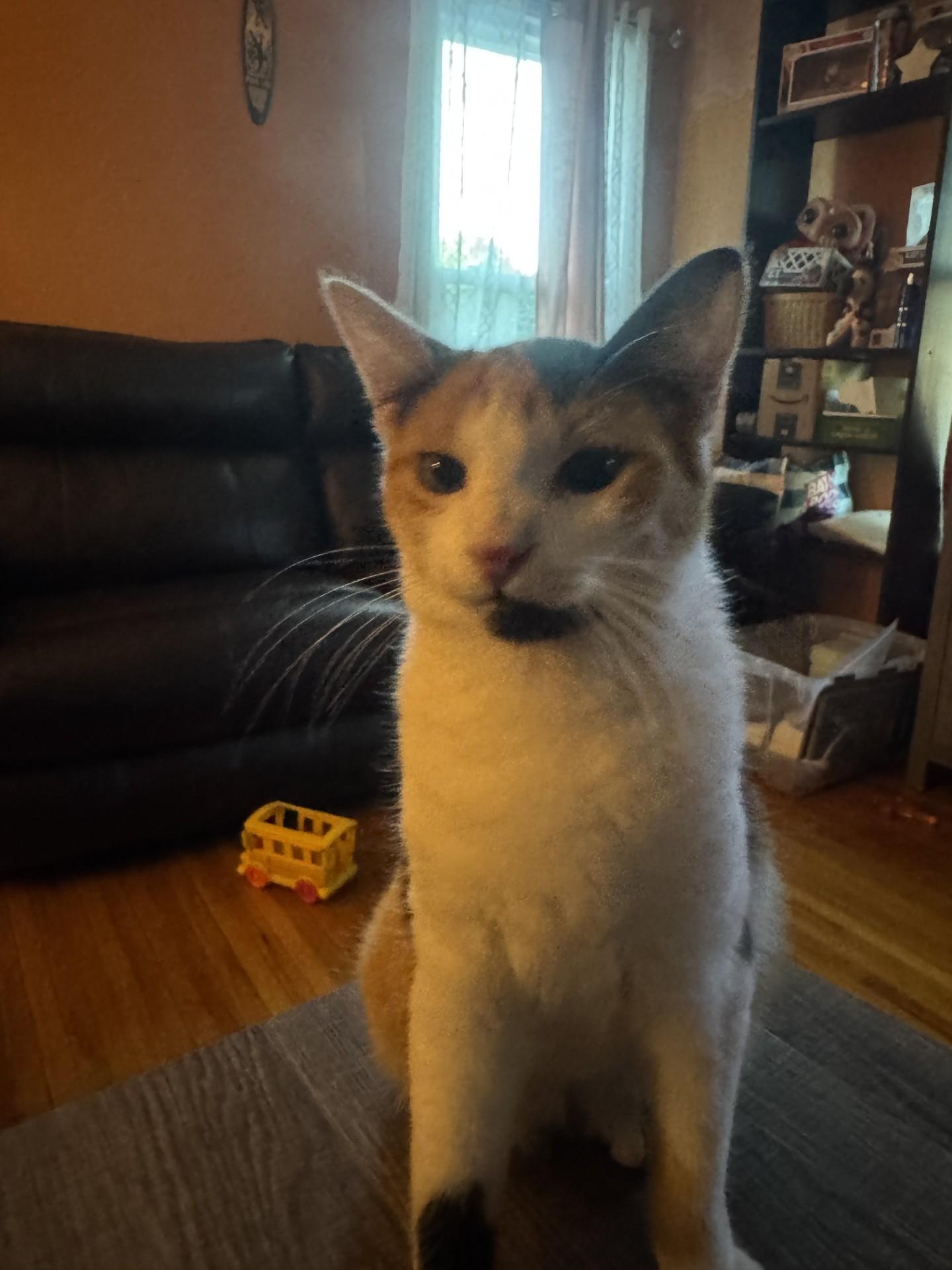 Tabitha/Tory