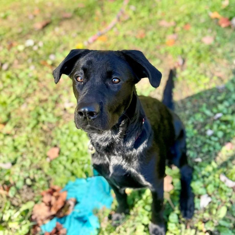 Baylee