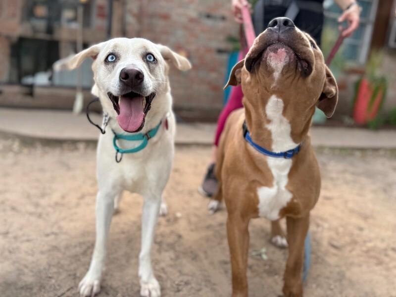 Rory right on time tv watching family girl — thumbnail 2