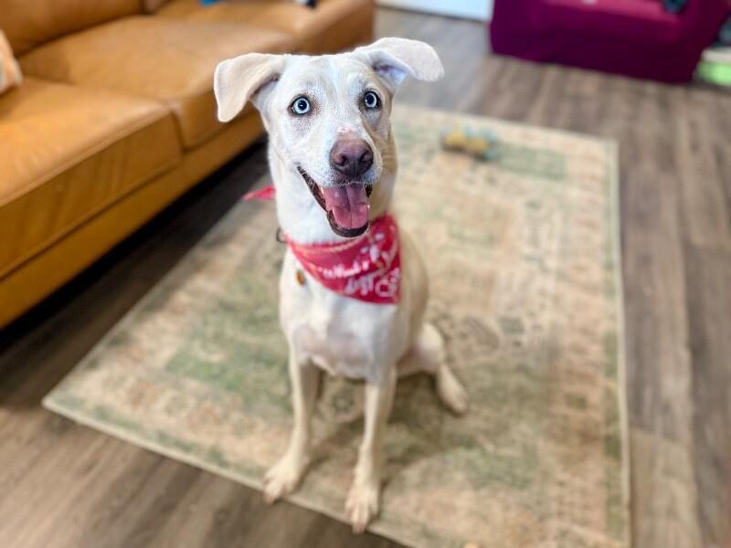 Rory right on time tv watching family girl — thumbnail 4