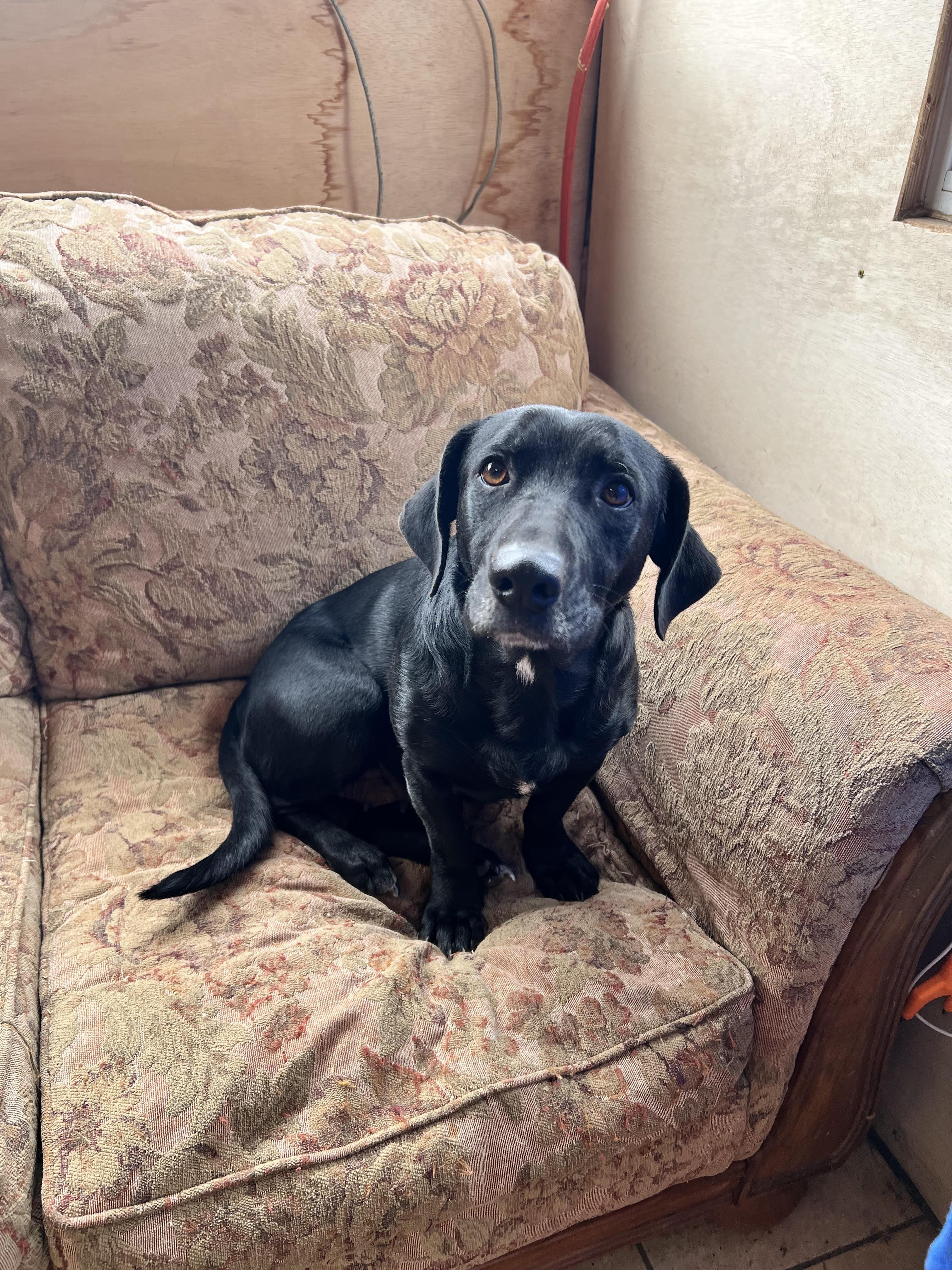 Momma Bridget Best — thumbnail 2